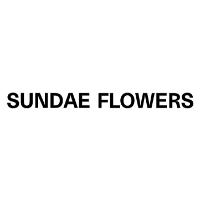 Sundae Flowers Coupon Codes