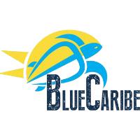 Blue Caribe Tours Coupon Codes